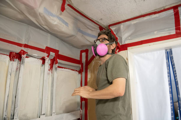 Biohazard Mold Removal in Napoleon, OH